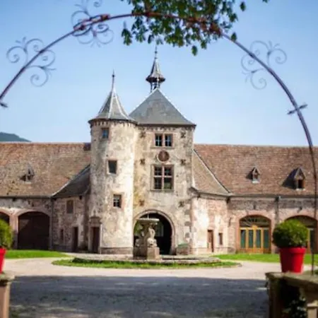 Le Patio Du Chateau De Thanvillé Exterior photo